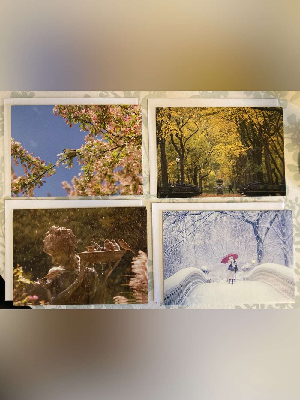 Set of 8 Central Park Greeting Cards